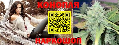 гашик Бузулук
