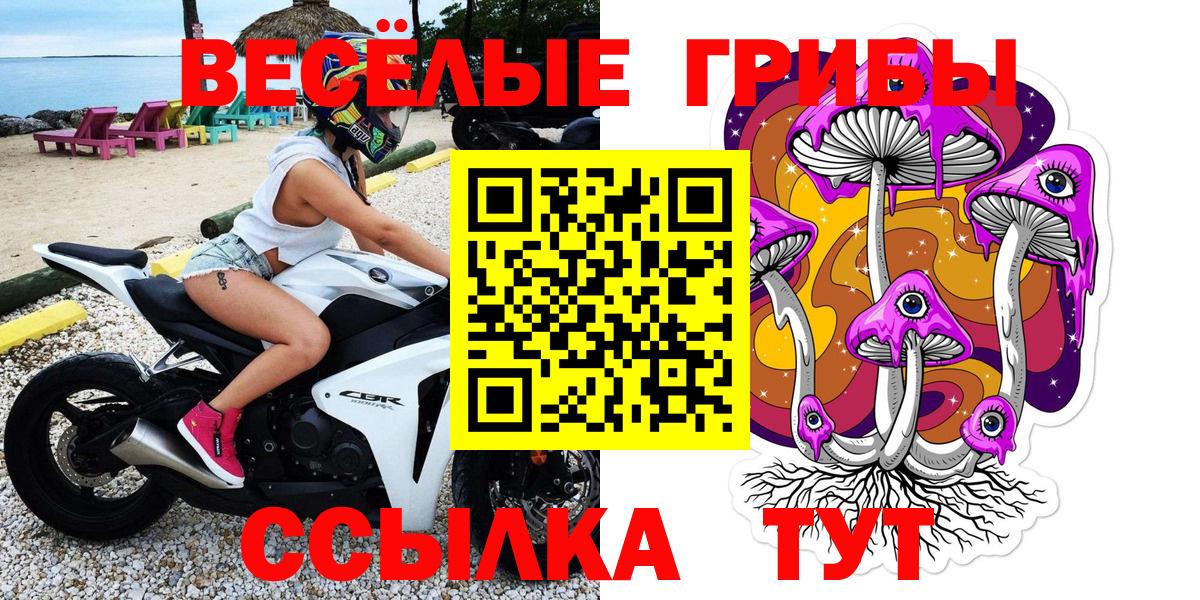 Малоярославец  Псилоцибиновые грибы прущие грибы  Вход с VPN 
