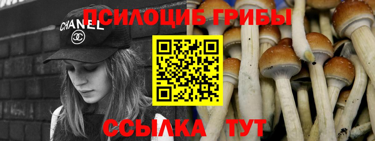 Псилоцибиновые грибы ЛСД Малоярославец